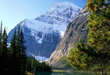 捷报完整比分是什么？它能为体育爱好者带来哪些帮助？