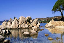 500足球是什么？它能给球迷和彩民带来哪些独特体验？